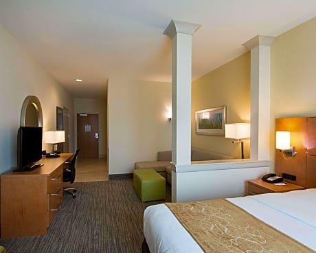 1 King Bed, Suite, Nonsmoking