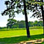 Forest Haven