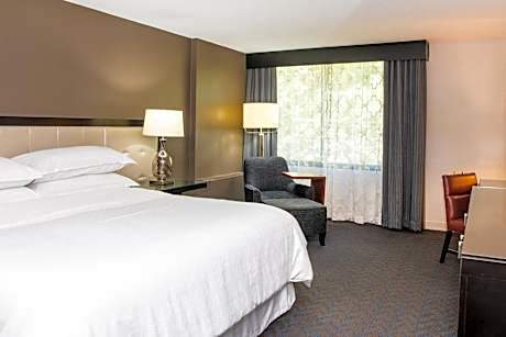 Traditional King, Guest room, 1 King
