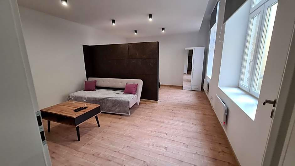 Apartamenty Centrum Plac Wolności ApartHotel wyjątkowy