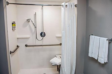 Deluxe Suite - Mobility Access Roll in Shower/Non-Smoking