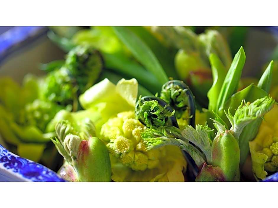 Sukayu Onsen Hakkoda Hotel - Vacation STAY 66845v