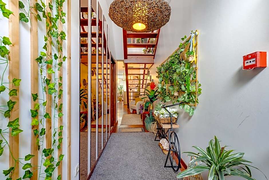 Garden in Town Hostel