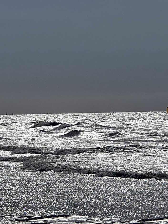 Cozy Garden House kijkduin Beach