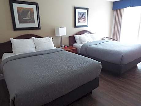 Double Room with Sofa bed - Disability Access/Non Smoking