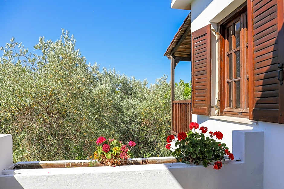 Pandora Studios Skiathos