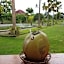Buana Ecofarm Ecolodge