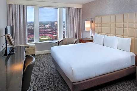 1 King 2 Bedroom Presidential Suite