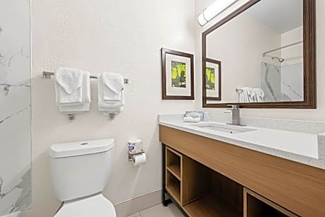 1 Queen Bed, Suite, Nonsmoking