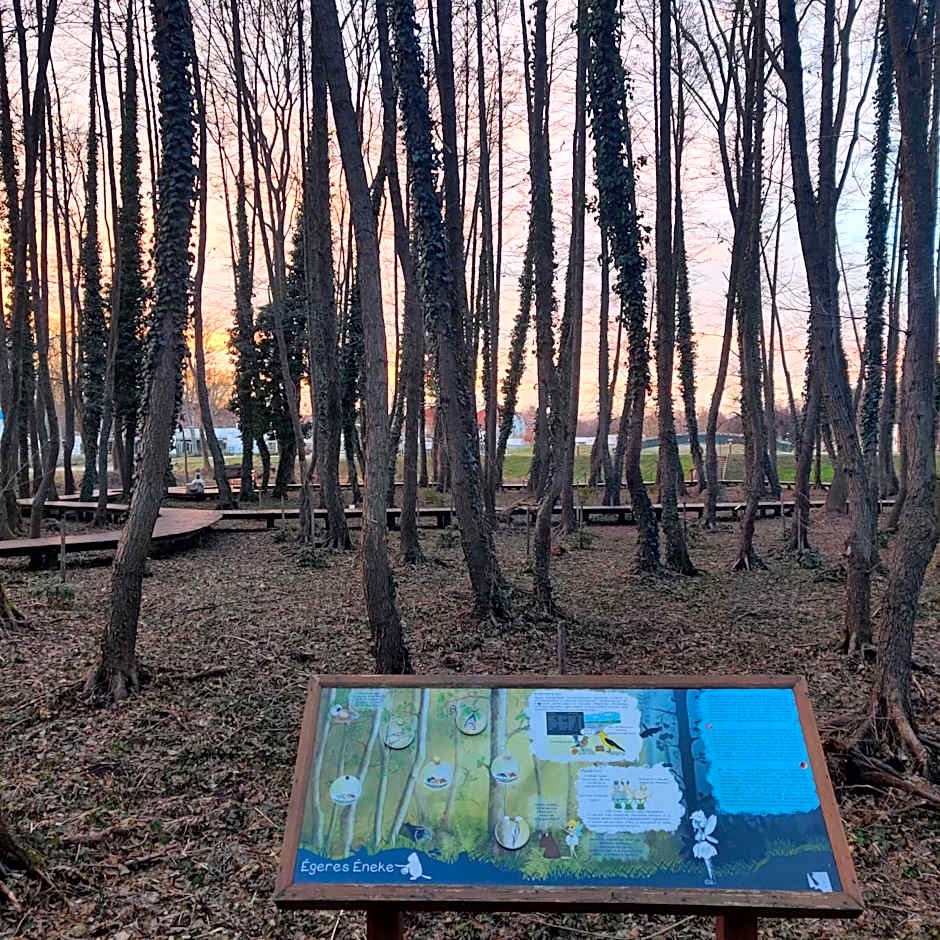 Orchidea Wellness Apartman