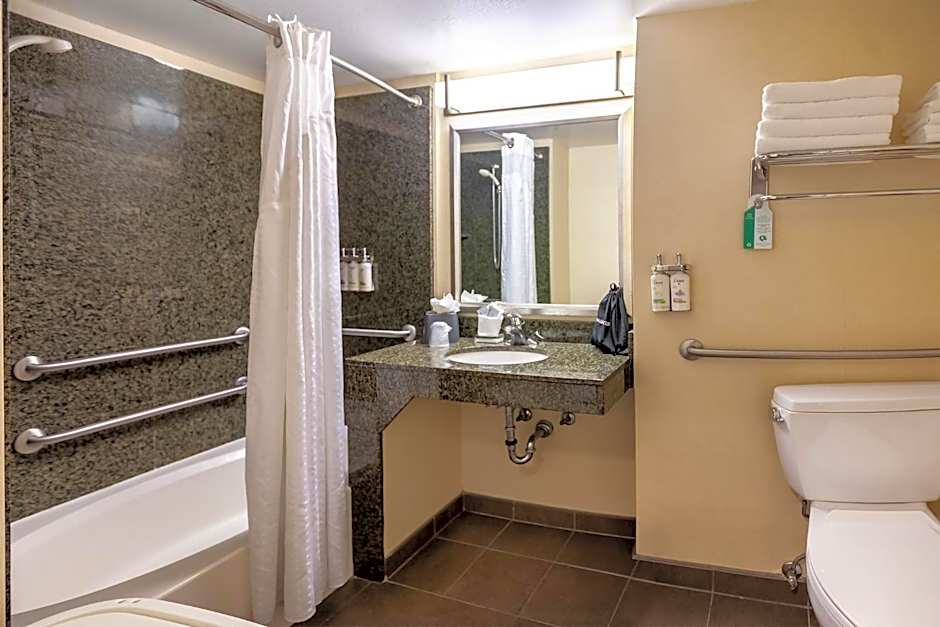 Holiday Inn Scottsdale North- Airpark By IHG