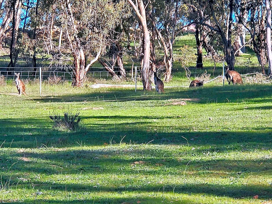 Neagles Retreat Villas