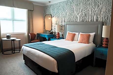 Superior Accessible Double Room