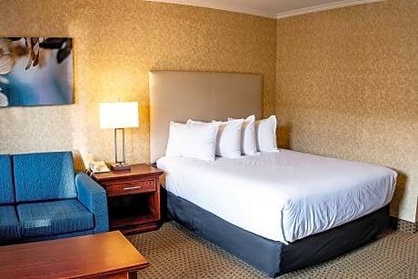 Queen Room with Sofa Bed