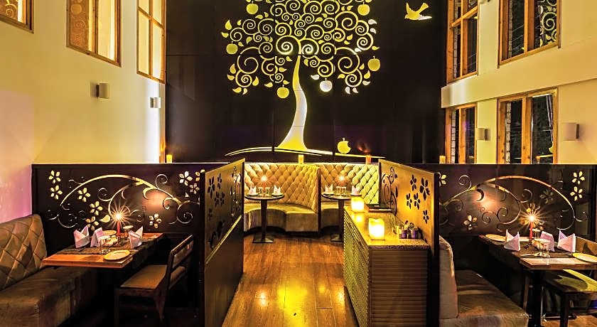 Honeymoon Inn - Manali