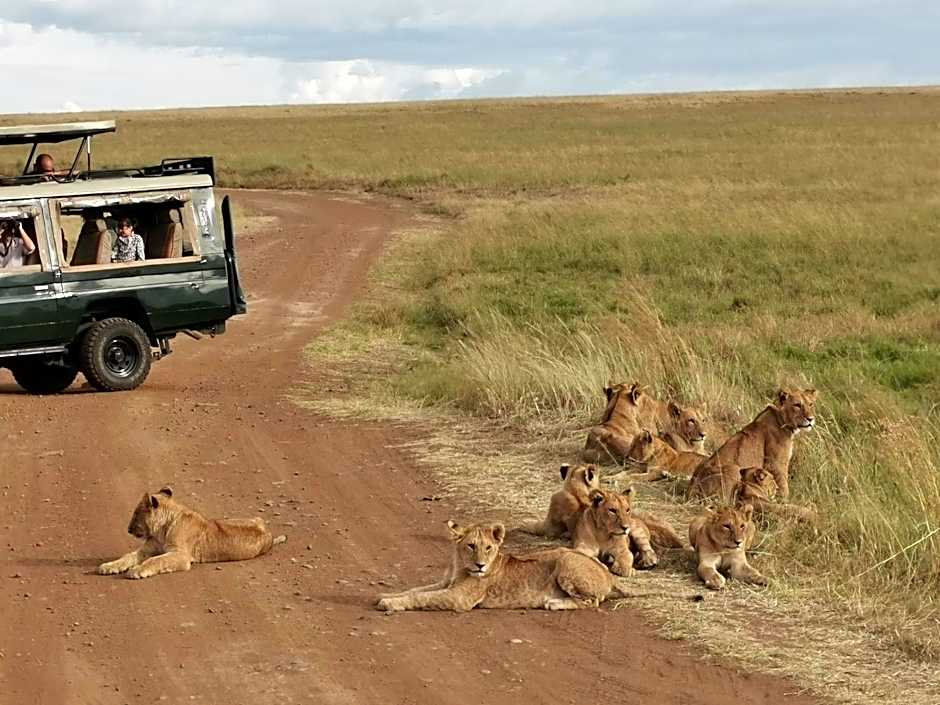 Fig Tree Camp - Maasai Mara