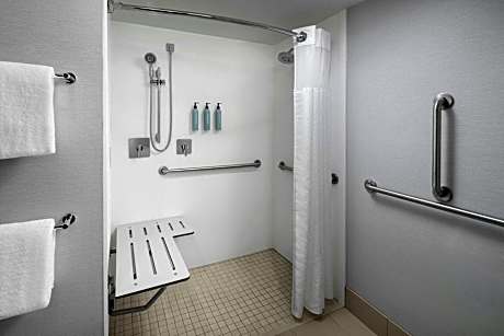 Room, 2 Queen Beds (Mobility/Hearing Access, Roll-In Shwr) (2 Queen Beds)