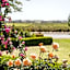 Barossa House