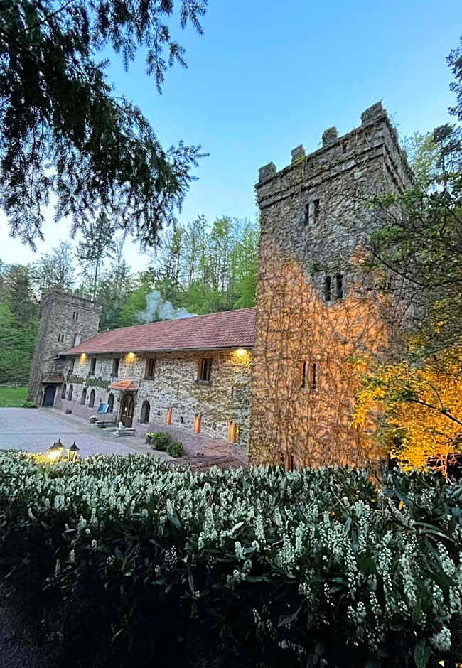 Le Chateau du Landsberg
