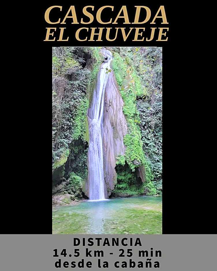 Mariposa - Cabañas Puerto del Zopilote