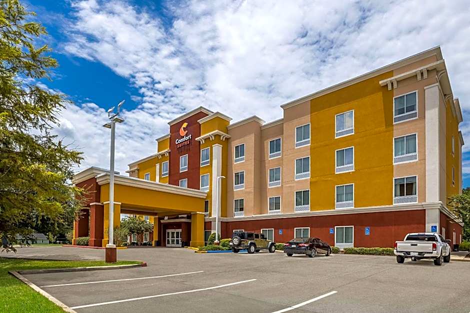 Comfort Suites Denham Springs