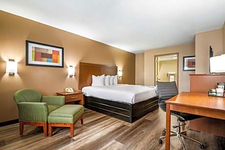 King Room with Roll In Shower - Non-Smoking