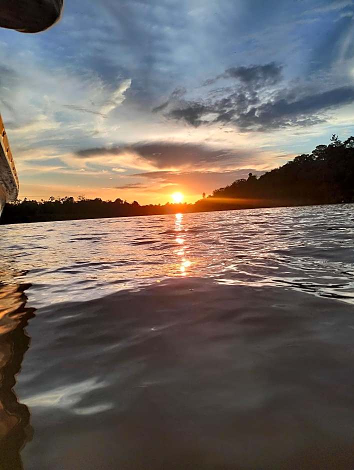 Borneo Jungle Adventure