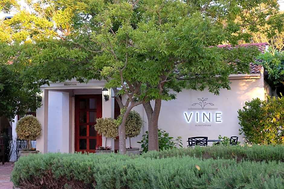 Vine Guesthouse