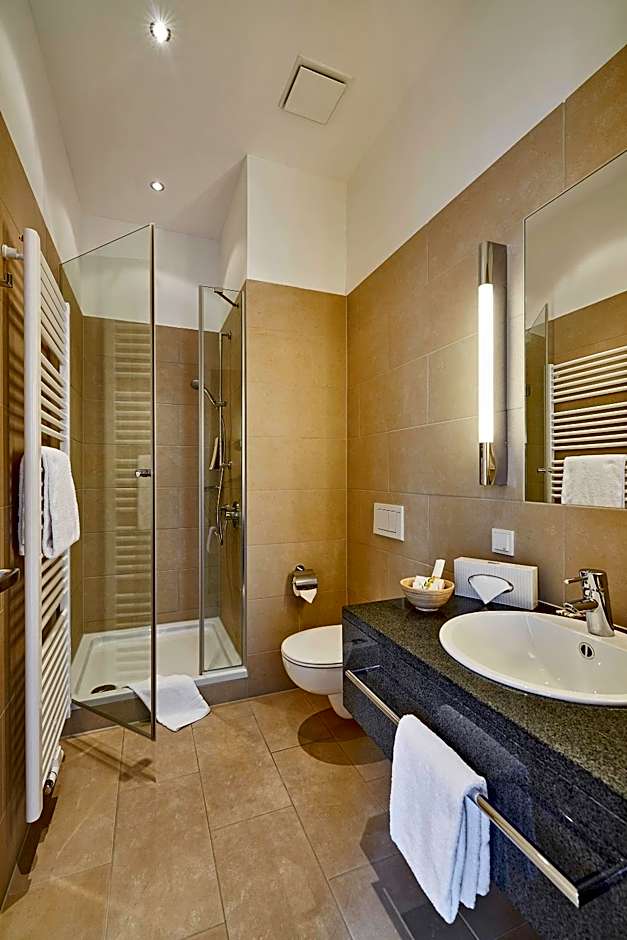 Hotel Elbresidenz an der Therme Bad Schandau