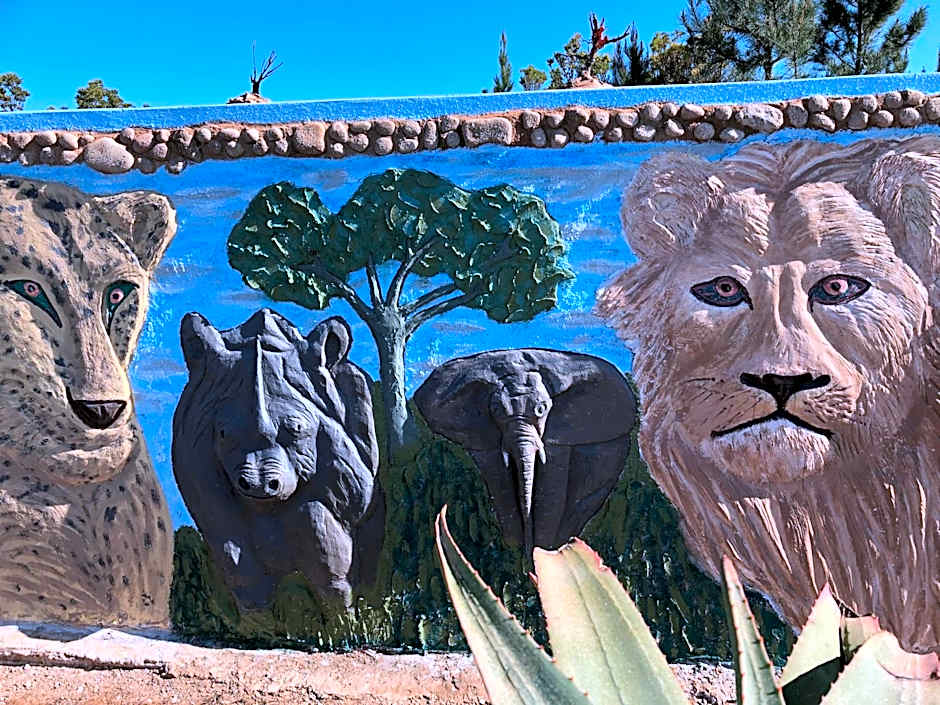 Rainforest Ridge Eco Resort