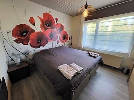 Double or Twin Room with Shared Bathroom