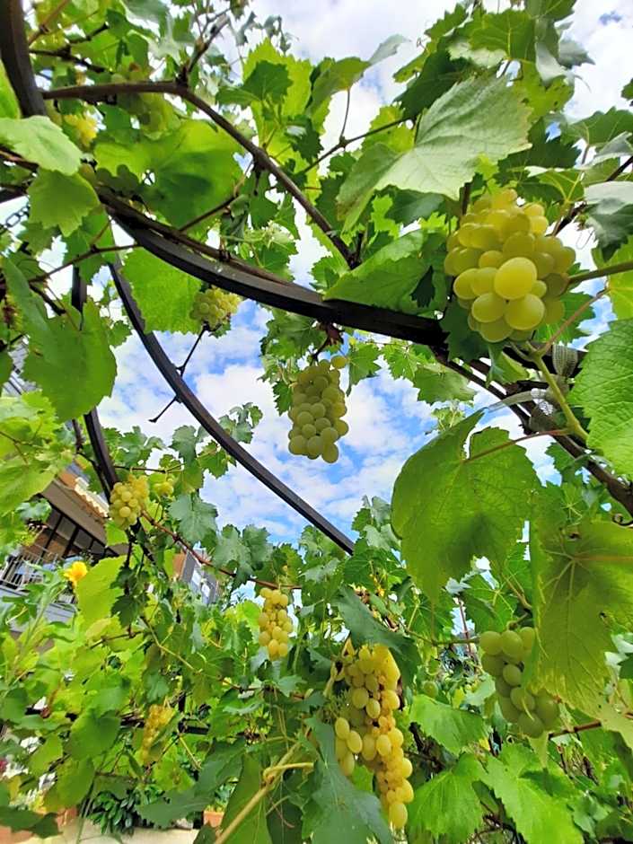 Gästehaus Moselblick