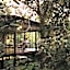 Wayanad Wild  Rainforest Lodge by CGH Earth
