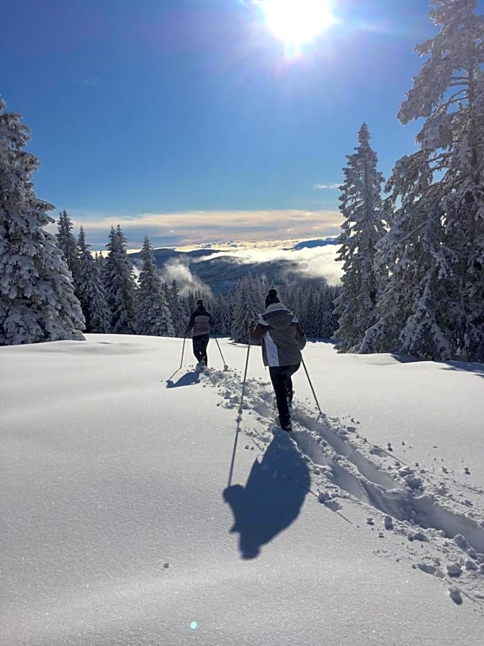 Apartments im Almhaus Bachler