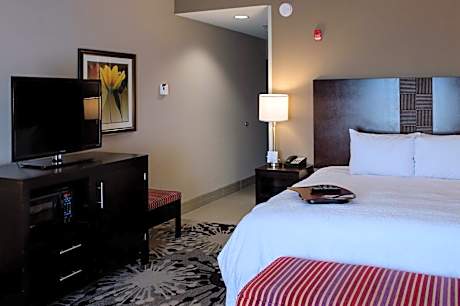 King Studio Suite with Sofa Bed - Non-Smoking
