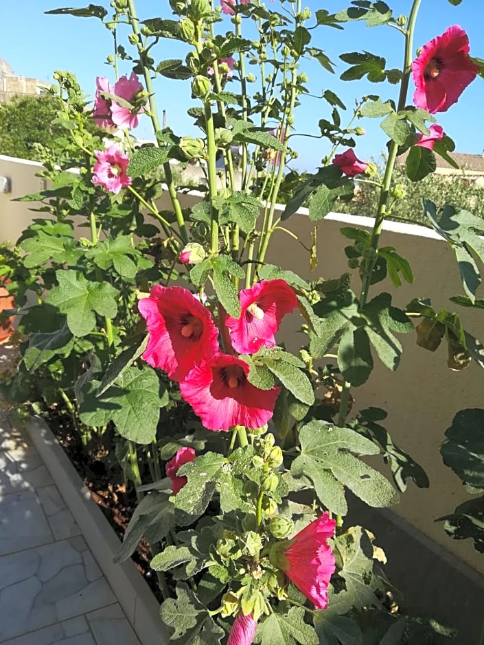 B&B La Chiocciola – Castelluzzo, CA