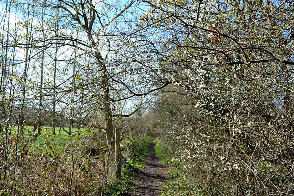 The Kingsley at Eversley