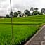 Umasari Rice Terrace Villa by AGATA 
