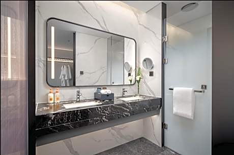1 King Standard Lounge Access