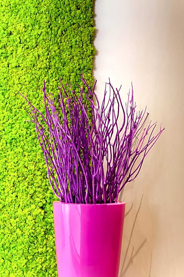 ibis Styles Montbéliard