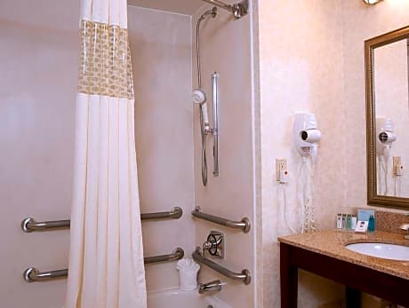 Suite King Bed