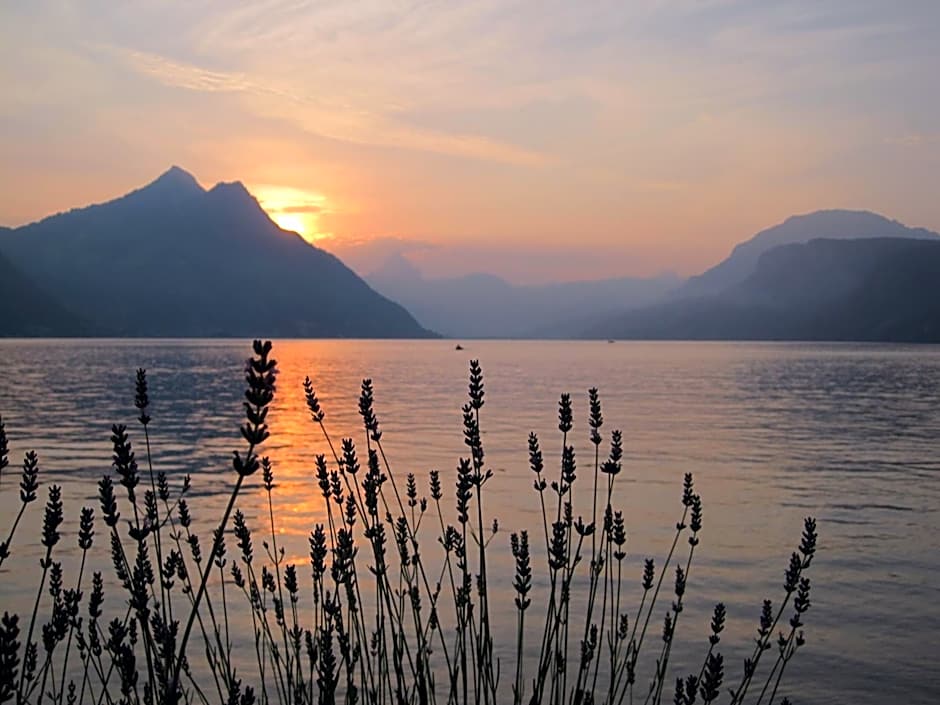 Hotel Nidwaldnerhof direkt am See Swiss Quality