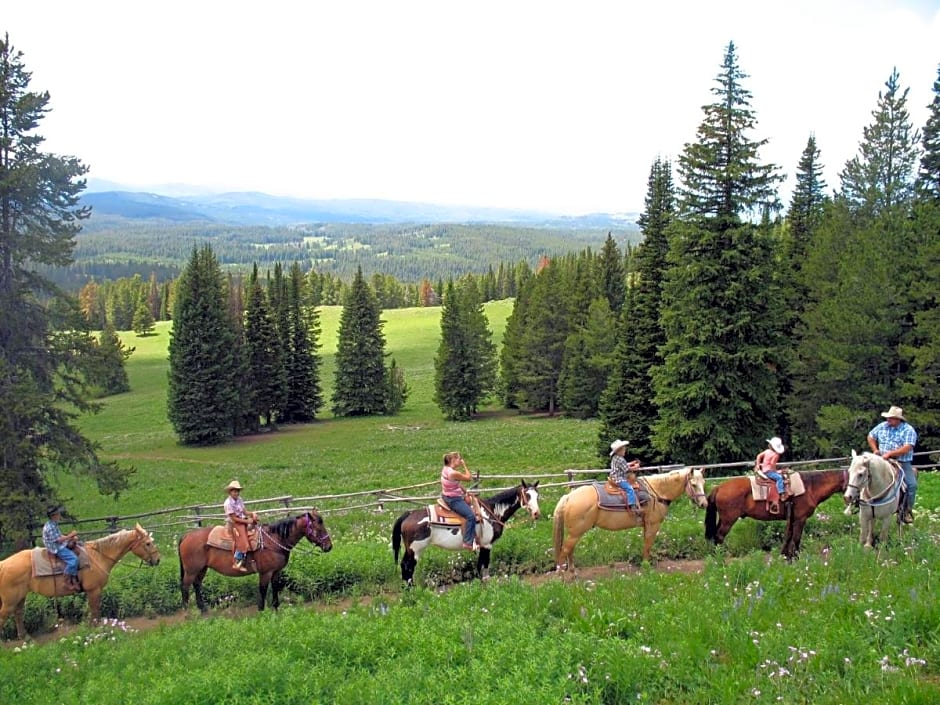 Togwotee Mountain Lodge