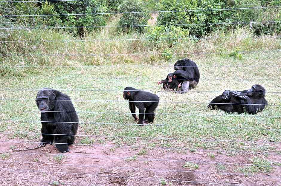 Sweetwaters Serena Camp