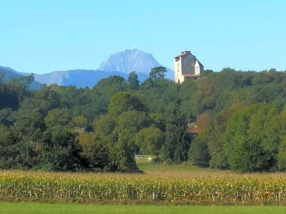 Chateau Montegut
