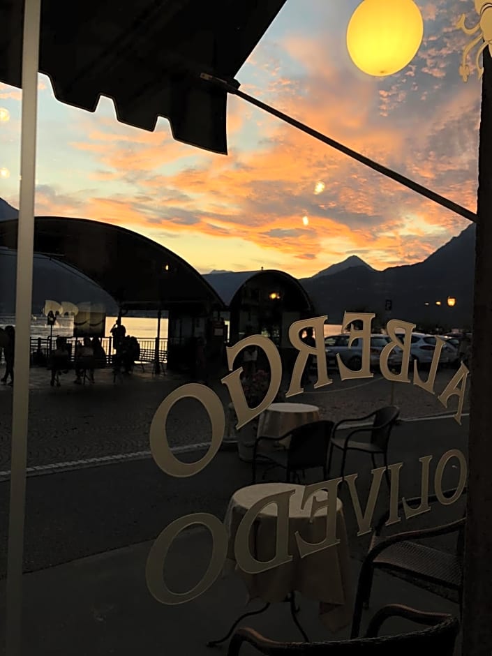 Hotel Olivedo