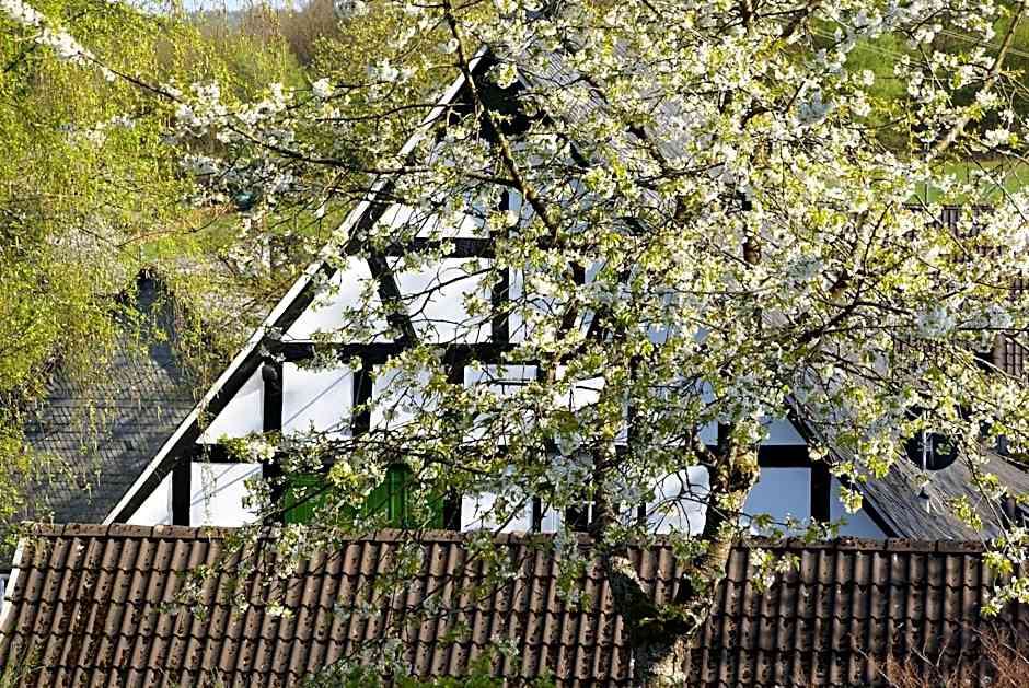 Gasthof Schumacher Hotel garni