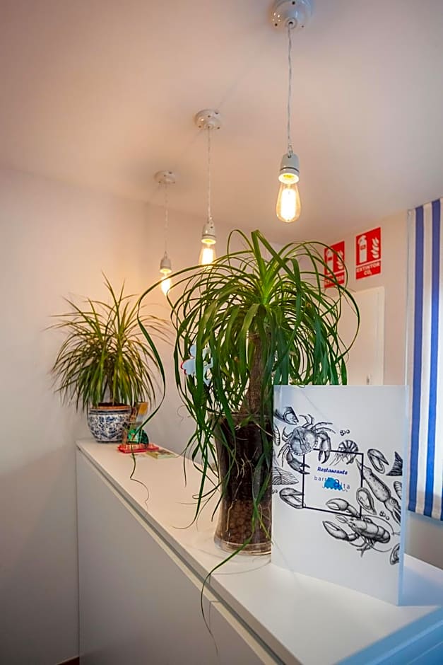 Hotel Boutique Barra Alta (Adults Only)
