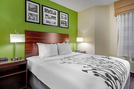 1 Queen Bed Nonsmoking Accessible