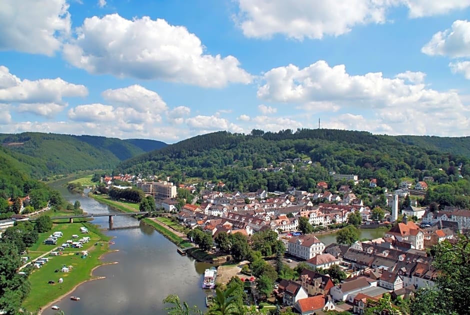 Historisches Hotel zum Schwan